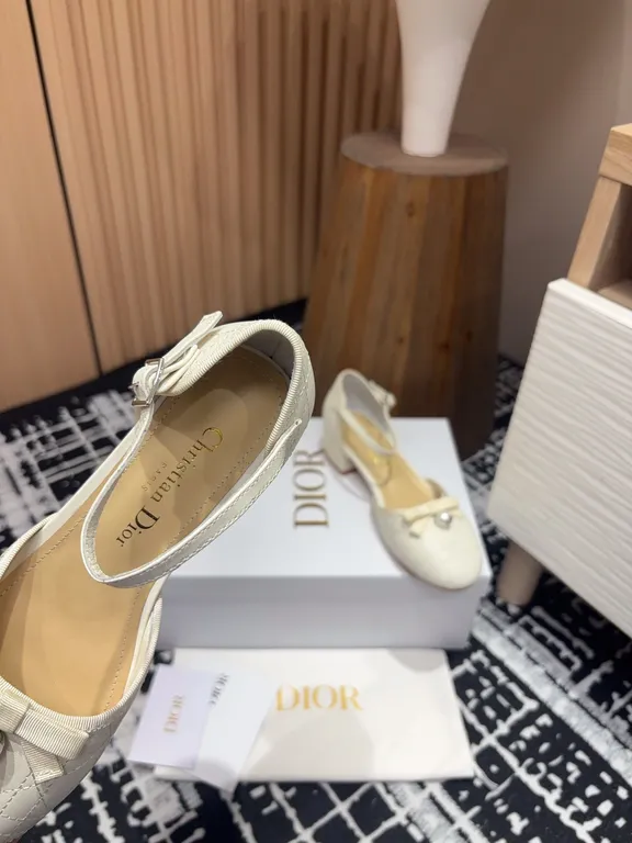 Dior Shoe 